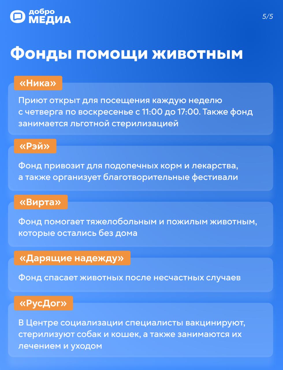 Нашли кота на улице: что делать?
Возвращаетесь домой, а у подъезда сидит кот. Или пёс. С виду домашний. Или не очень. Такая ситуация, кажется, может случиться с каждым | Сетка — социальная сеть от hh.ru