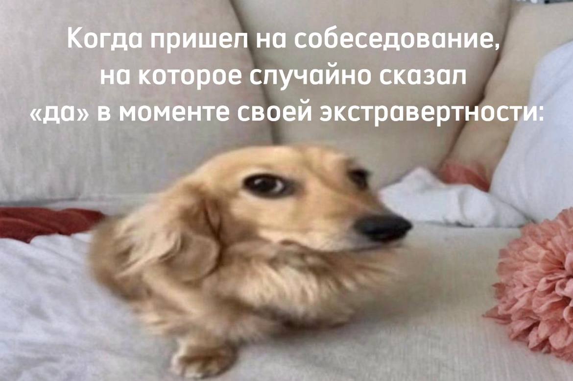 Ну мы и что 👀 | Сетка — социальная сеть от hh.ru