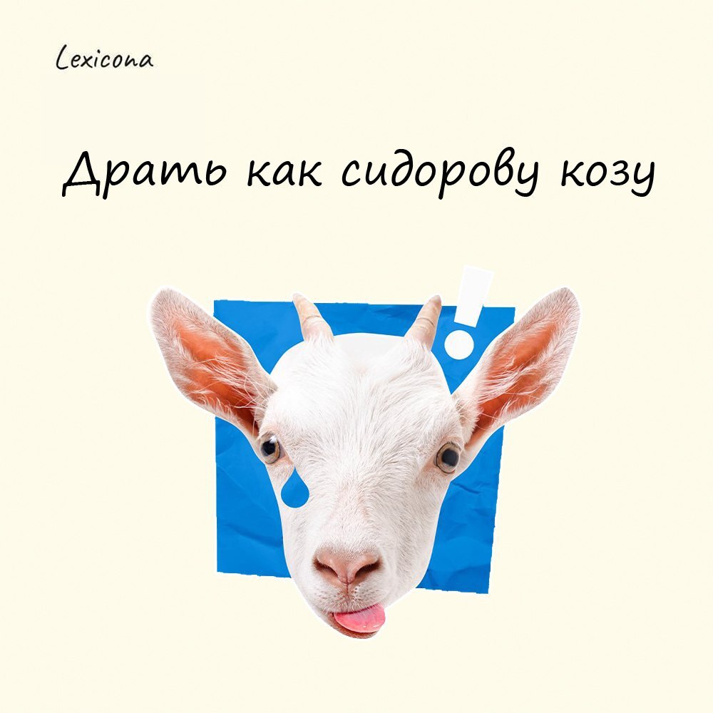 Драть как сидорову козу
На самом деле в этом выражении коза - это "козёл отпущения"
На Руси в народе Сидором называли зажиточного, но скупого и мелочного человечка: «Сидор и свою козу за мелкую потрав... | Сетка — социальная сеть от hh.ru