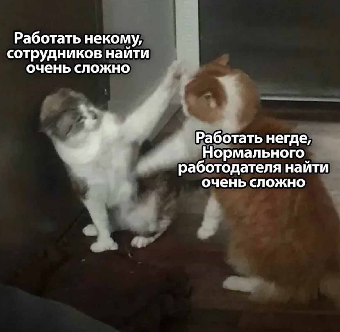 Как сегодня выглядит рынок труда: | Сетка — социальная сеть от hh.ru
