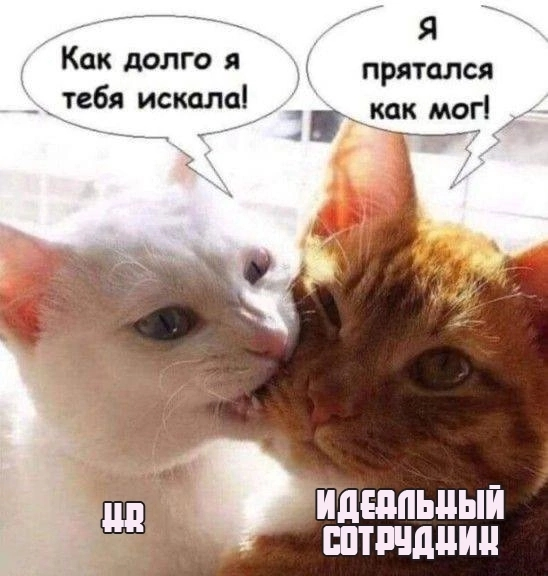 А знаете, что меня реально бесит?
Почему многие работодатели так не хотят повышать зарплату старым проверенным сотрудникам? 🤷‍♀
Вот сидит человек, вкалывает, знает все процессы, и что? «Подумаем», «Пе... | Сетка — социальная сеть от hh.ru