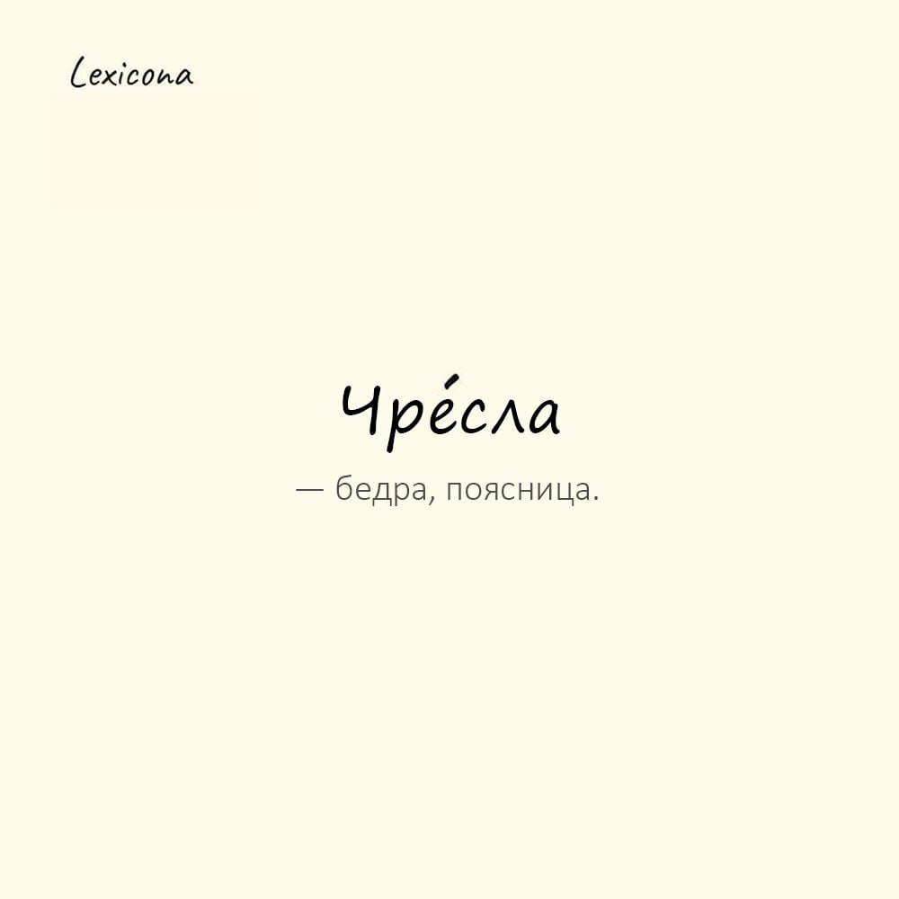 Чресла — бедра, поясница
Пример употребления:
Чресла его были перетянуты поясом, на котором висел старинный кинжал. | Сетка — социальная сеть от hh.ru
