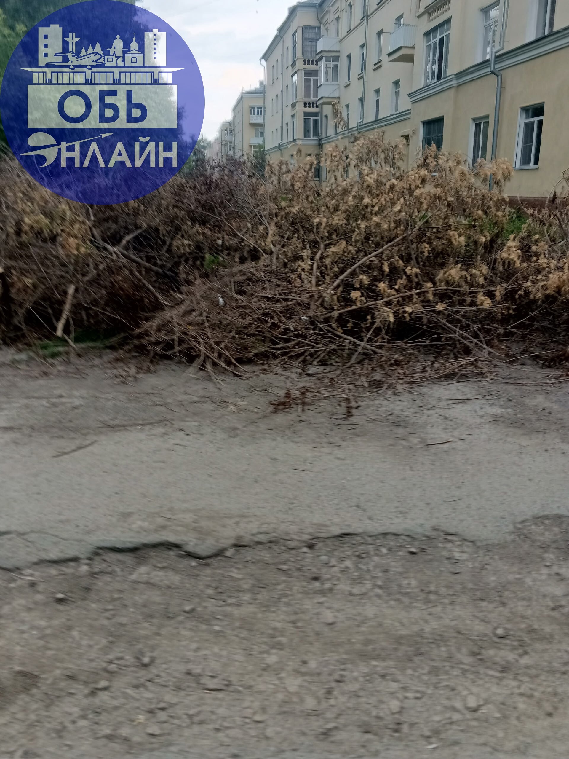 ↗ Попили деревья почти месяц назад. По завалили ими парковки.ни кто убирать не торопится!!!! Они уже высохли.
vk.com
Подробнее на https://vk.com/ob.gorod
#городобь #городобьонлайн #толмачево | Сетка — социальная сеть от hh.ru