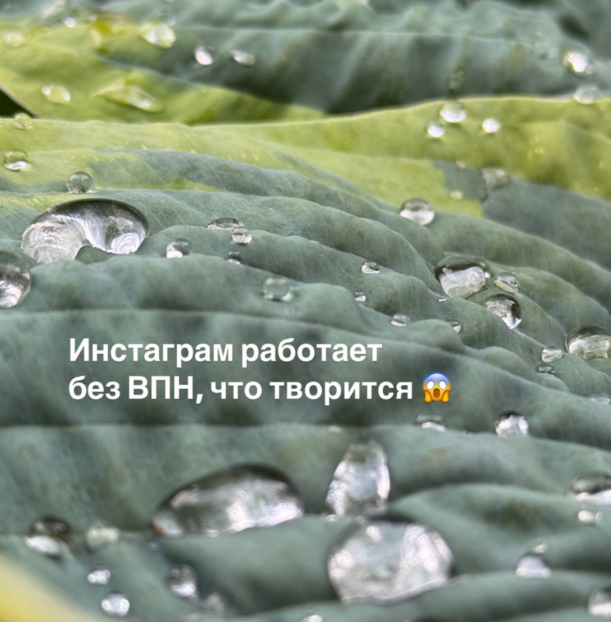 Срочная новость: инста, ютуб работают без впн, проверяйте 😍 | Сетка — социальная сеть от hh.ru