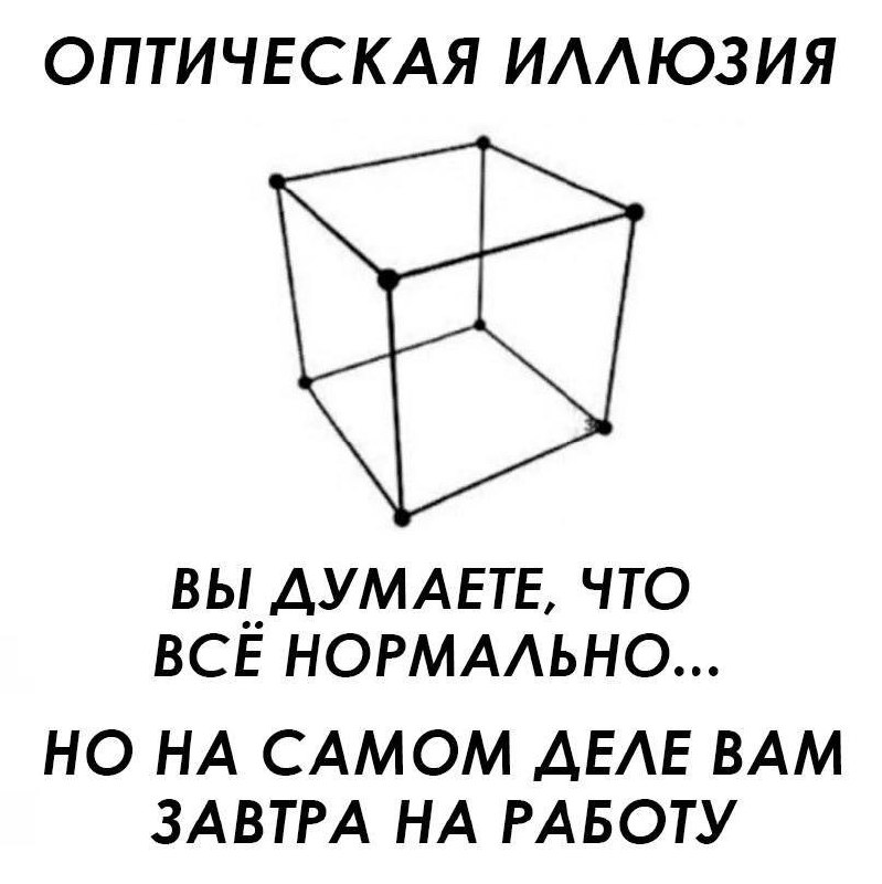 🐁🐁🐁 | Сетка — социальная сеть от hh.ru