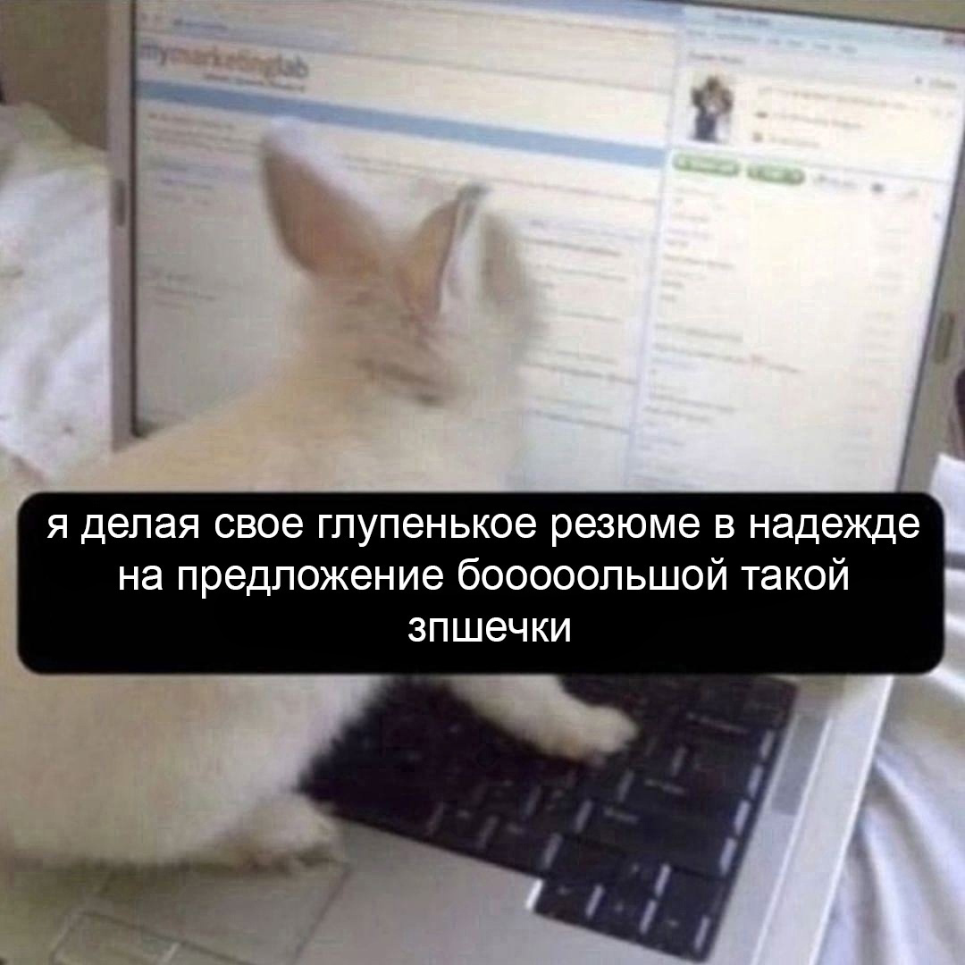 Ну, мы? 😁 | Сетка — социальная сеть от hh.ru