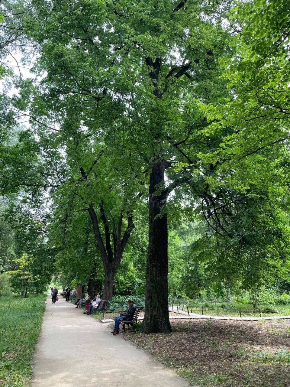🌳 В Аптекарском огороде зацвели липы
Всего здесь растёт 141 дерево. Идеальное место для летней прогулки среди ароматных аллей🥰
📍Аптекарский огород
📲Подпишитесь на Вдвижении
#активныйотдых #бесплатно | Сетка — социальная сеть от hh.ru