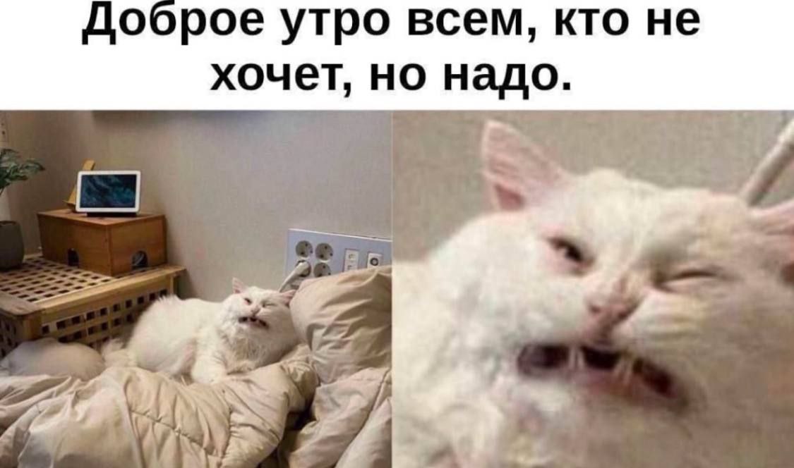Доброе утро, труженики! 🐝
Начинаем новую рабочую неделю!
Как провели длинные выходные? | Сетка — социальная сеть от hh.ru