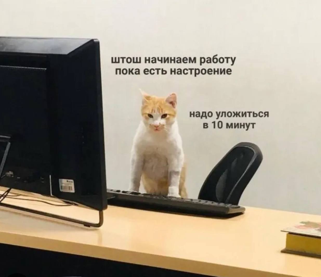 Узнали себя? Особенно в пн утром? | Сетка — социальная сеть от hh.ru