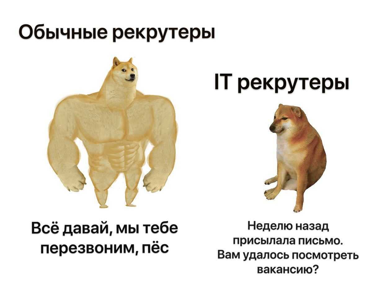 помните мой прошлый пост? | Сетка — социальная сеть от hh.ru