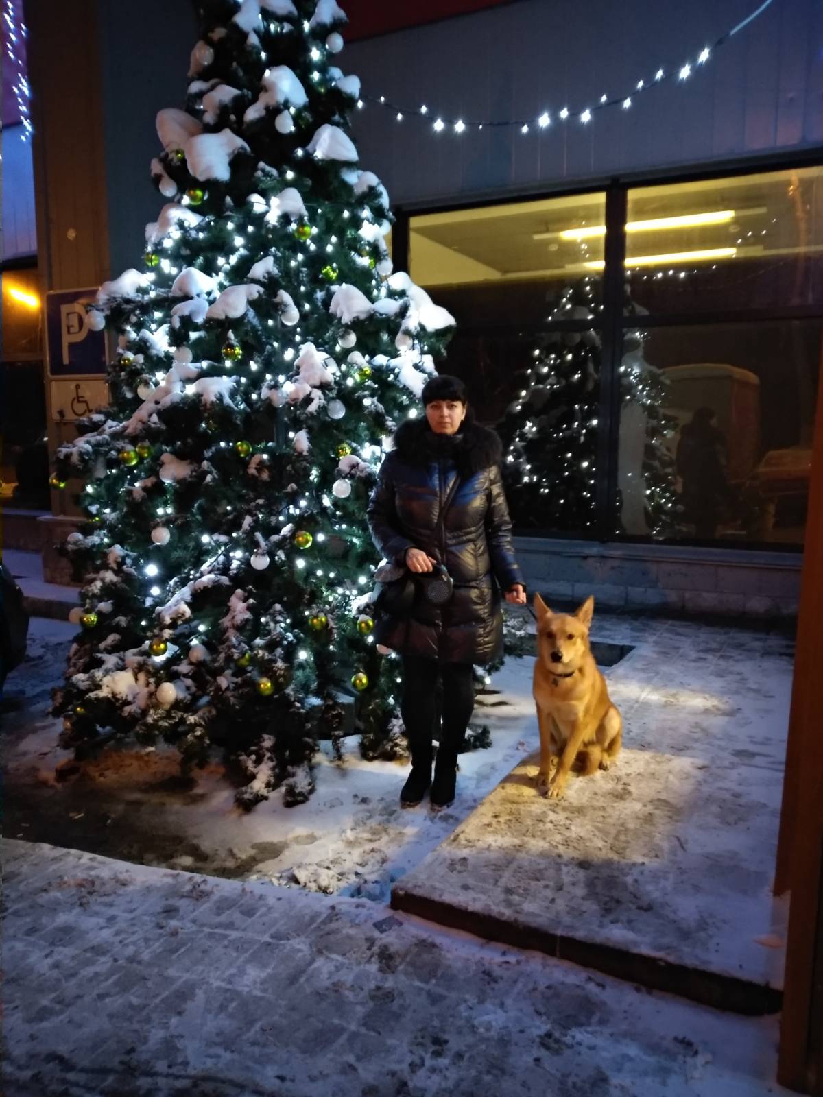 Марина Кольченкова