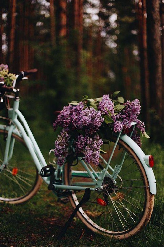 Где покататься на велосипеде в Москве?🚲
📍Крылатские холмы
Живописные виды и хорошее покрытие
📍Лосиный остров
Тишина, лес
📍Кузьминский лесопарк
Комфортные дорожки, много зелени
📍Воробьевы горы
Маршрут ... | Сетка — социальная сеть от hh.ru