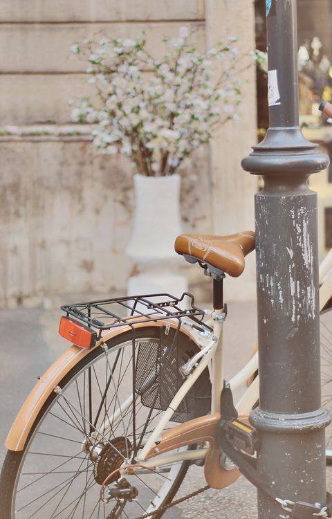 Где покататься на велосипеде в Москве?🚲
📍Крылатские холмы
Живописные виды и хорошее покрытие
📍Лосиный остров
Тишина, лес
📍Кузьминский лесопарк
Комфортные дорожки, много зелени
📍Воробьевы горы
Маршрут ... | Сетка — социальная сеть от hh.ru