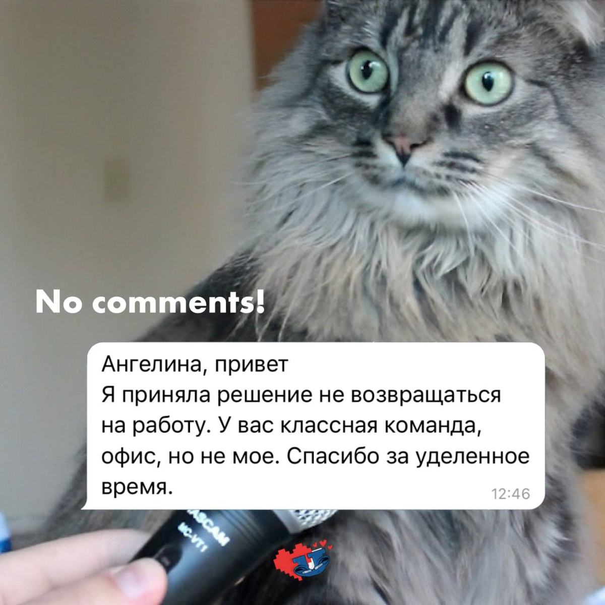 Это новая реальность 🔥 | Сетка — социальная сеть от hh.ru