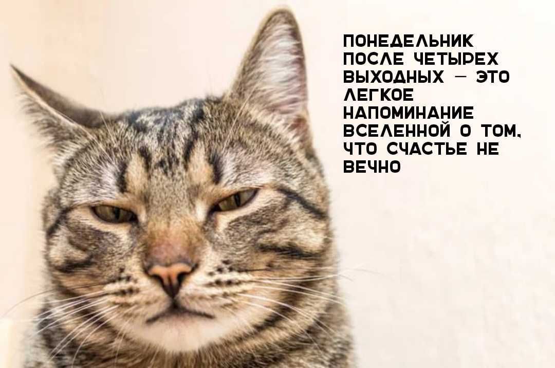 Кто-то хочет поспорить? | Сетка — социальная сеть от hh.ru