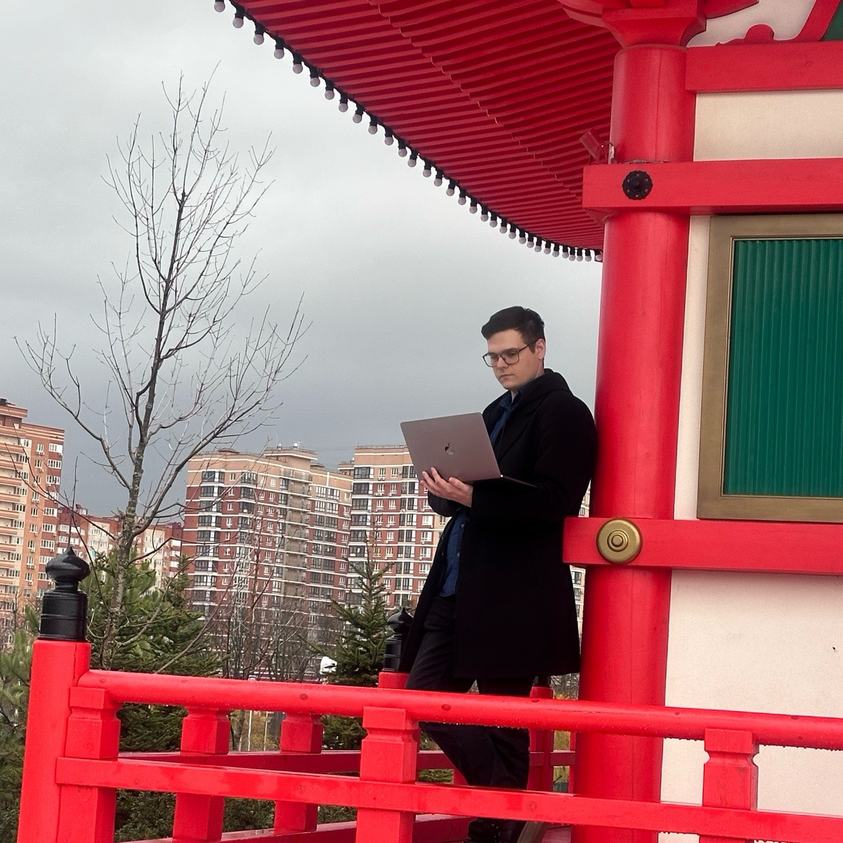 Network member avatar