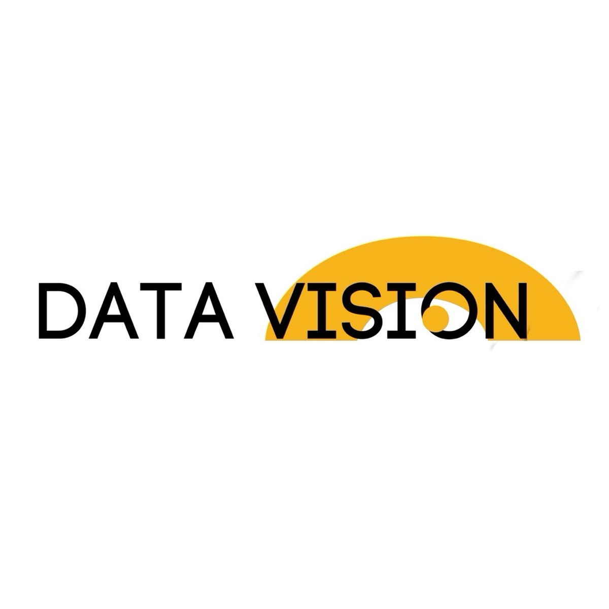 Data Vision