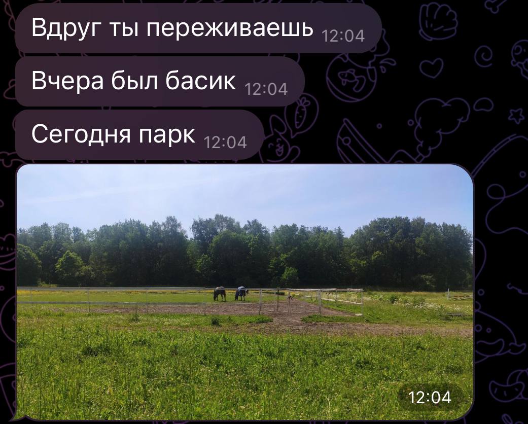 Люди массово отписываются😂 не выдерживают вашего превосходства 😂
Но я продолжаю постить нашу доску почета ♥️👏🏻 завтра последний денек 😏 хотя я планирую продолжать 💪🏻
Понедельник, кстати, мой любимый д... | Сетка — социальная сеть от hh.ru