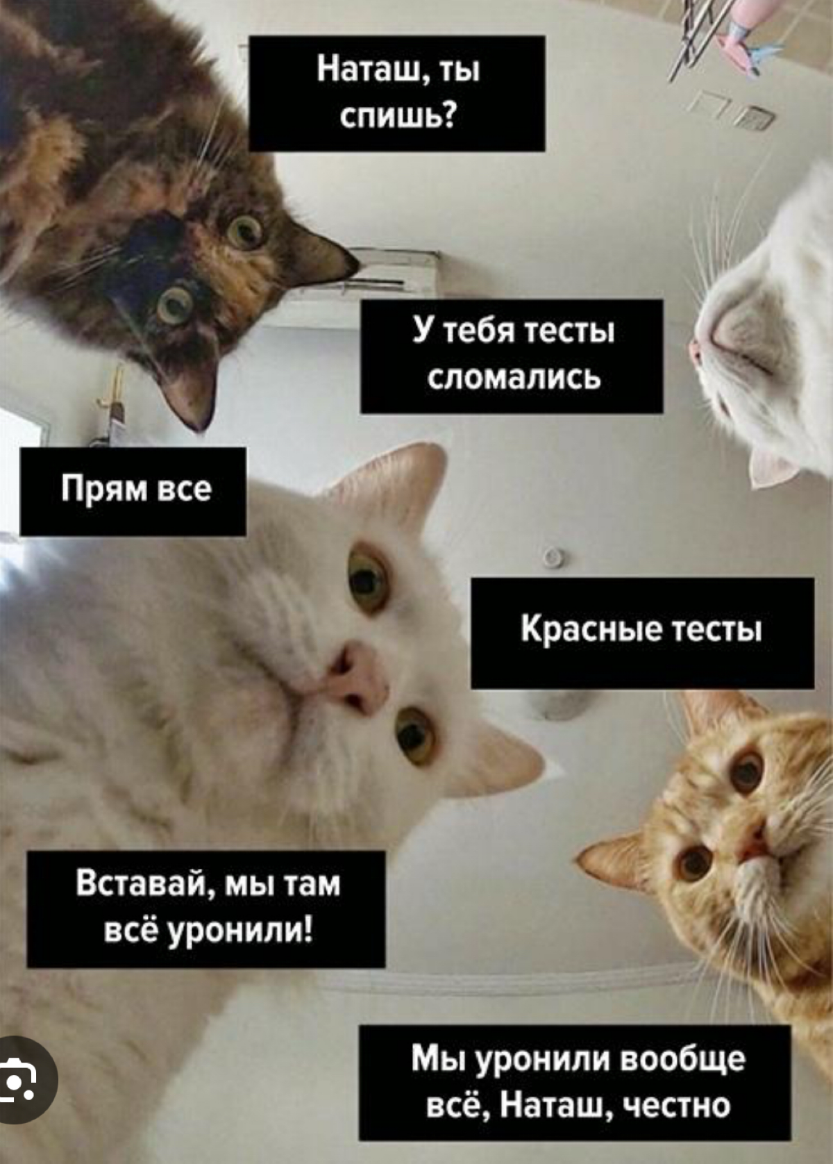 🫶🏻🫶🏻🫶🏻 | Сетка — социальная сеть от hh.ru
