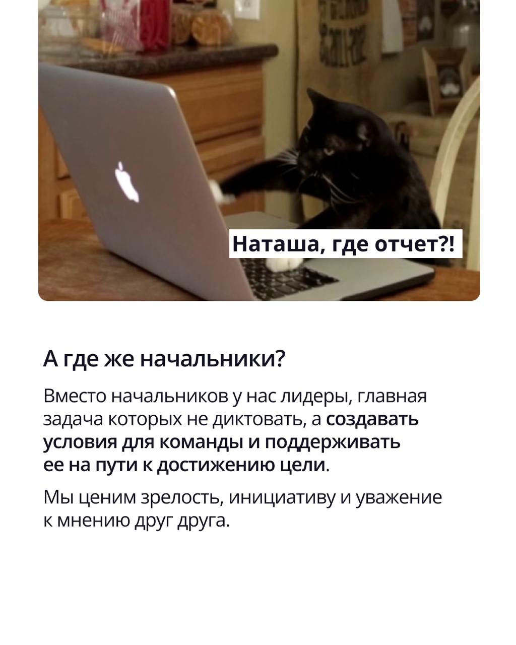 🟣 Без начальника, контроля за часами и приказов сверху
⠀Звучит как мечта? А для нас — как рабочая реальность.
⠀
ПравоТех строит культуру доверия и ответственности | Сетка — социальная сеть от hh.ru