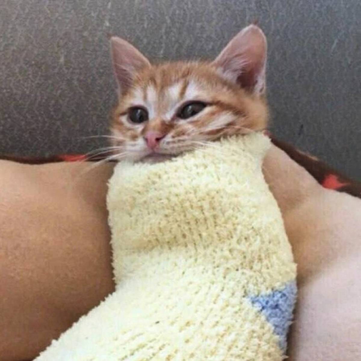 Кирилл Январёв