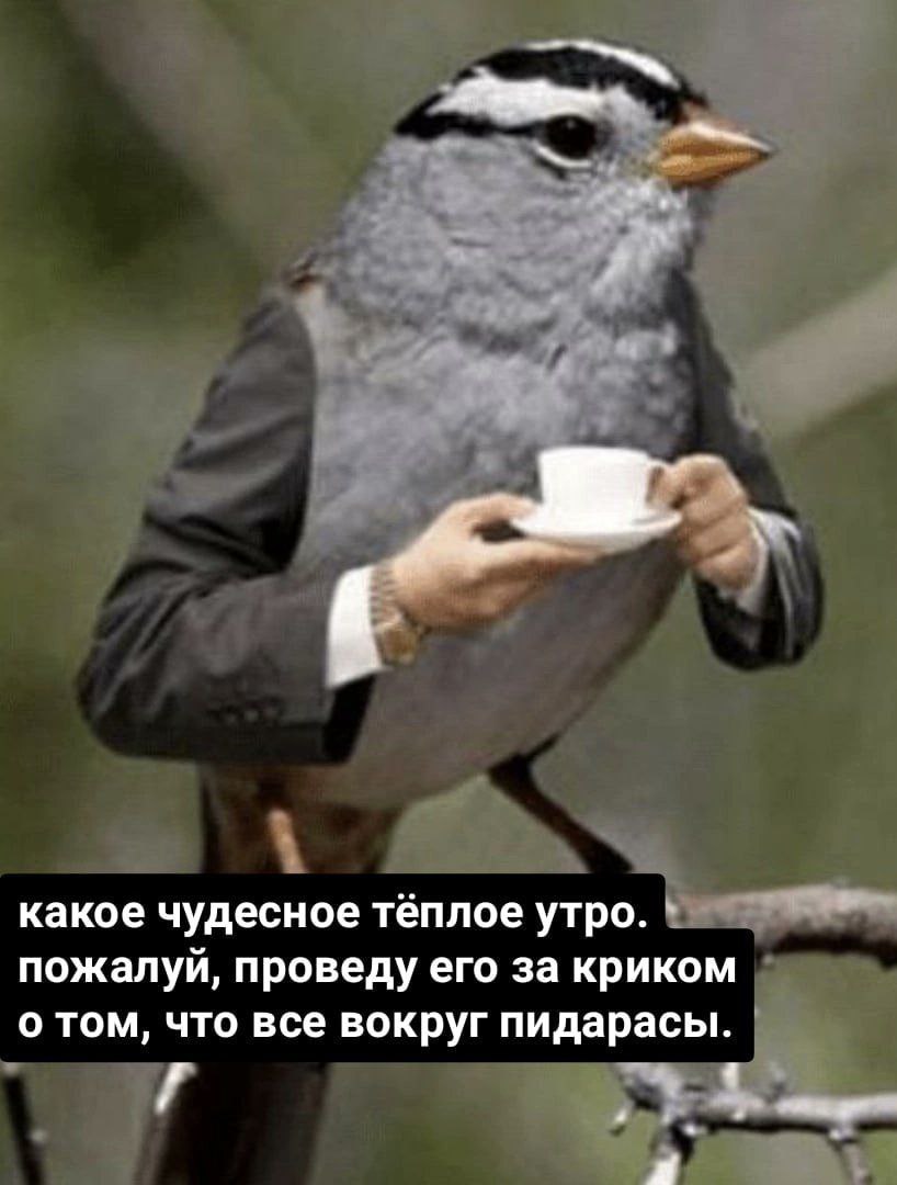 Добрейшего утречка 😒 | Сетка — социальная сеть от hh.ru
