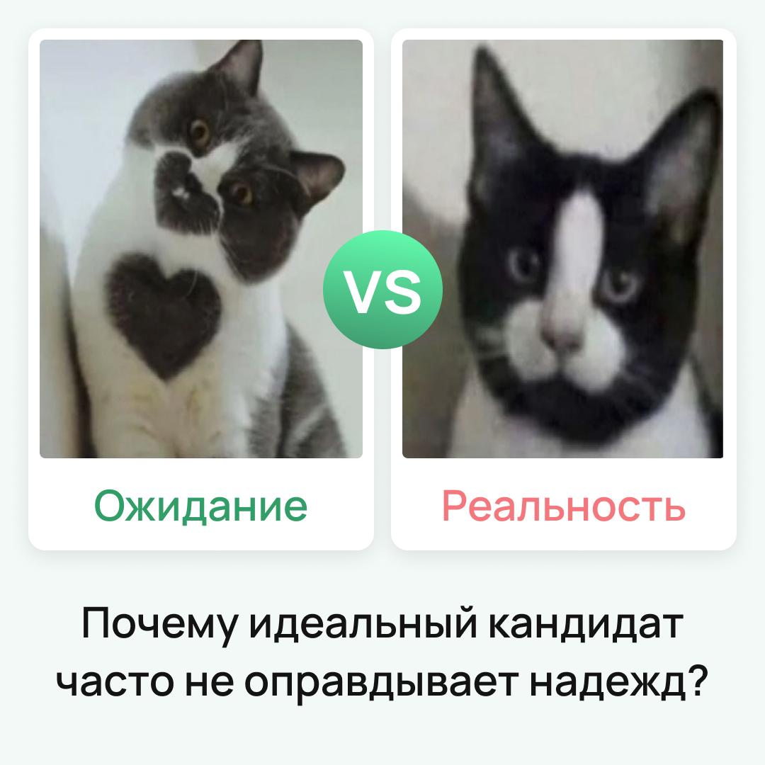 Было такое?
Кандидат по резюме и интервью просто звезда: опыт 10 из 10, в разговоре — блеск, идеальное совпадение с профилем | Сетка — социальная сеть от hh.ru