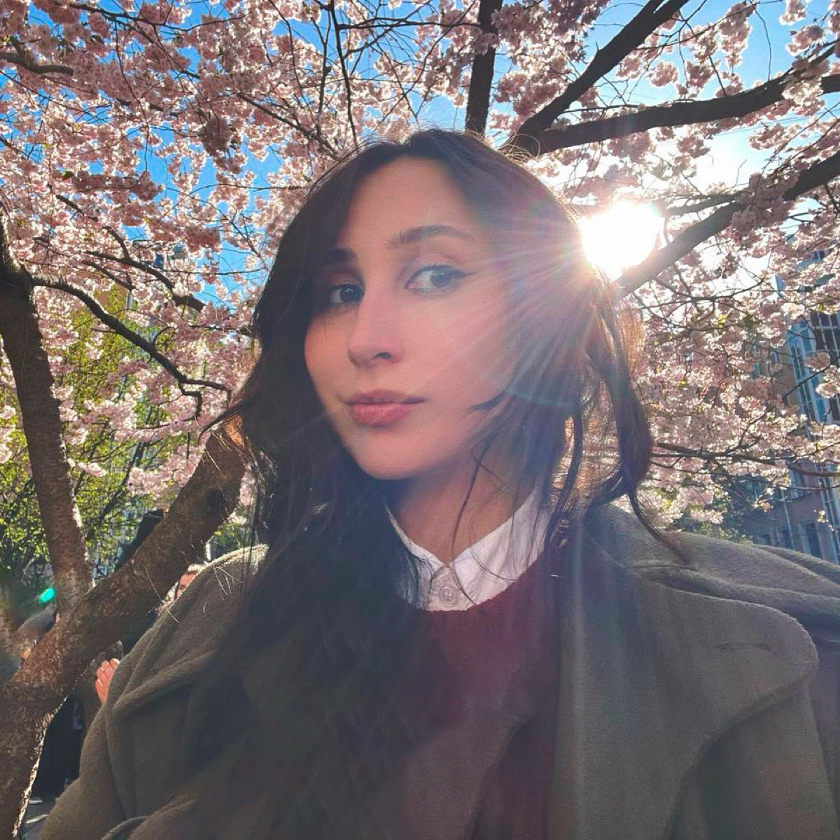 Анастасия Терёшина | Сетка — социальная сеть от hh.ru