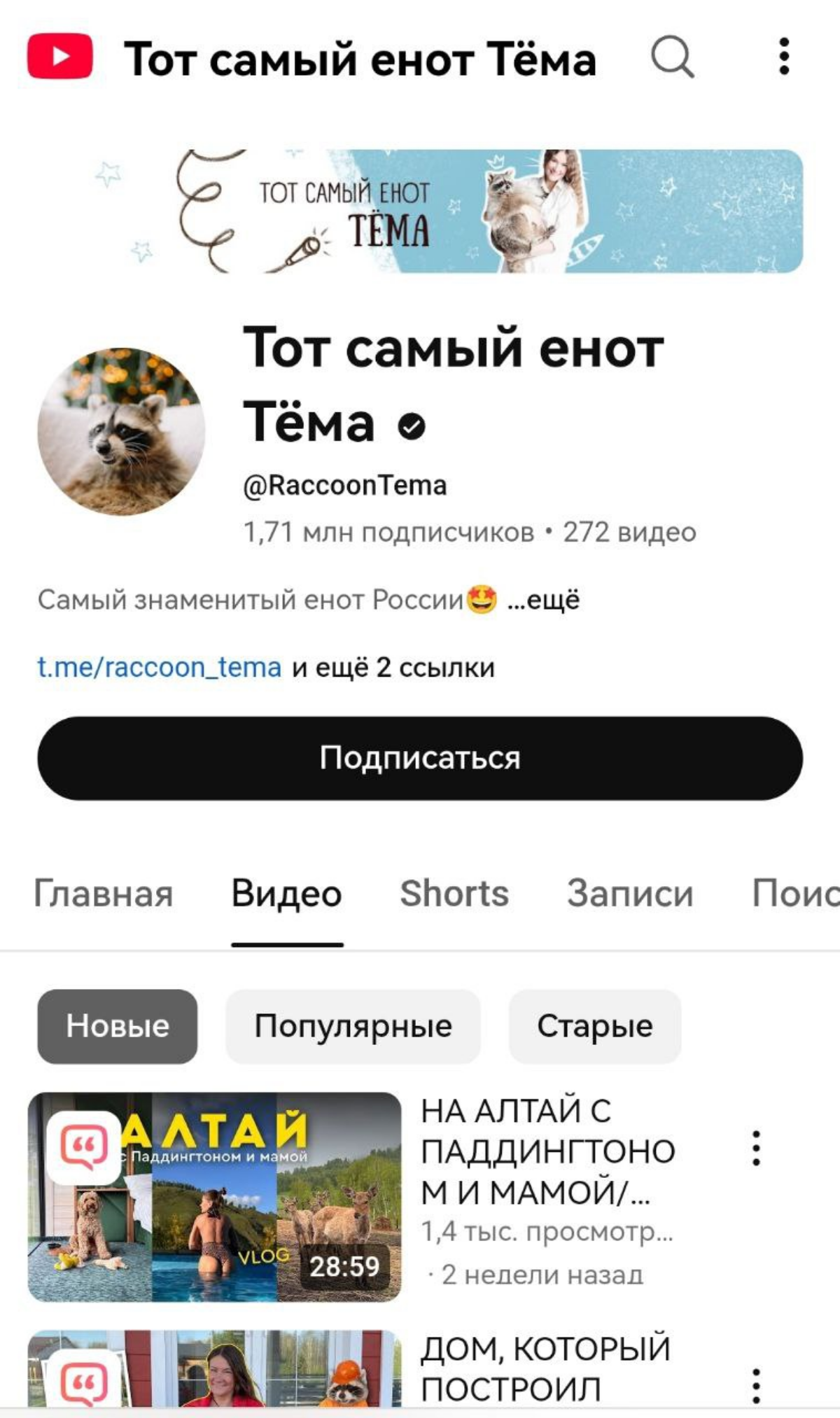 ТОП-5 пушистых блогеров России | Сетка — социальная сеть от hh.ru
