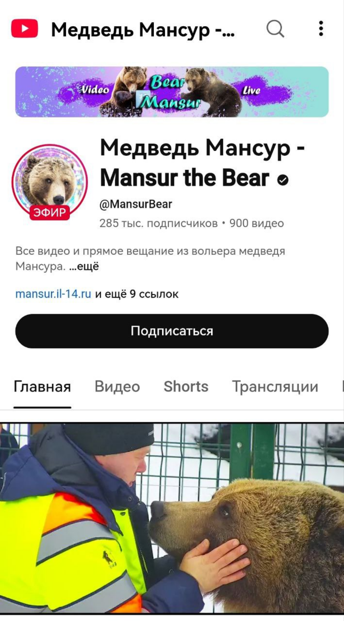 ТОП-5 пушистых блогеров России | Сетка — социальная сеть от hh.ru