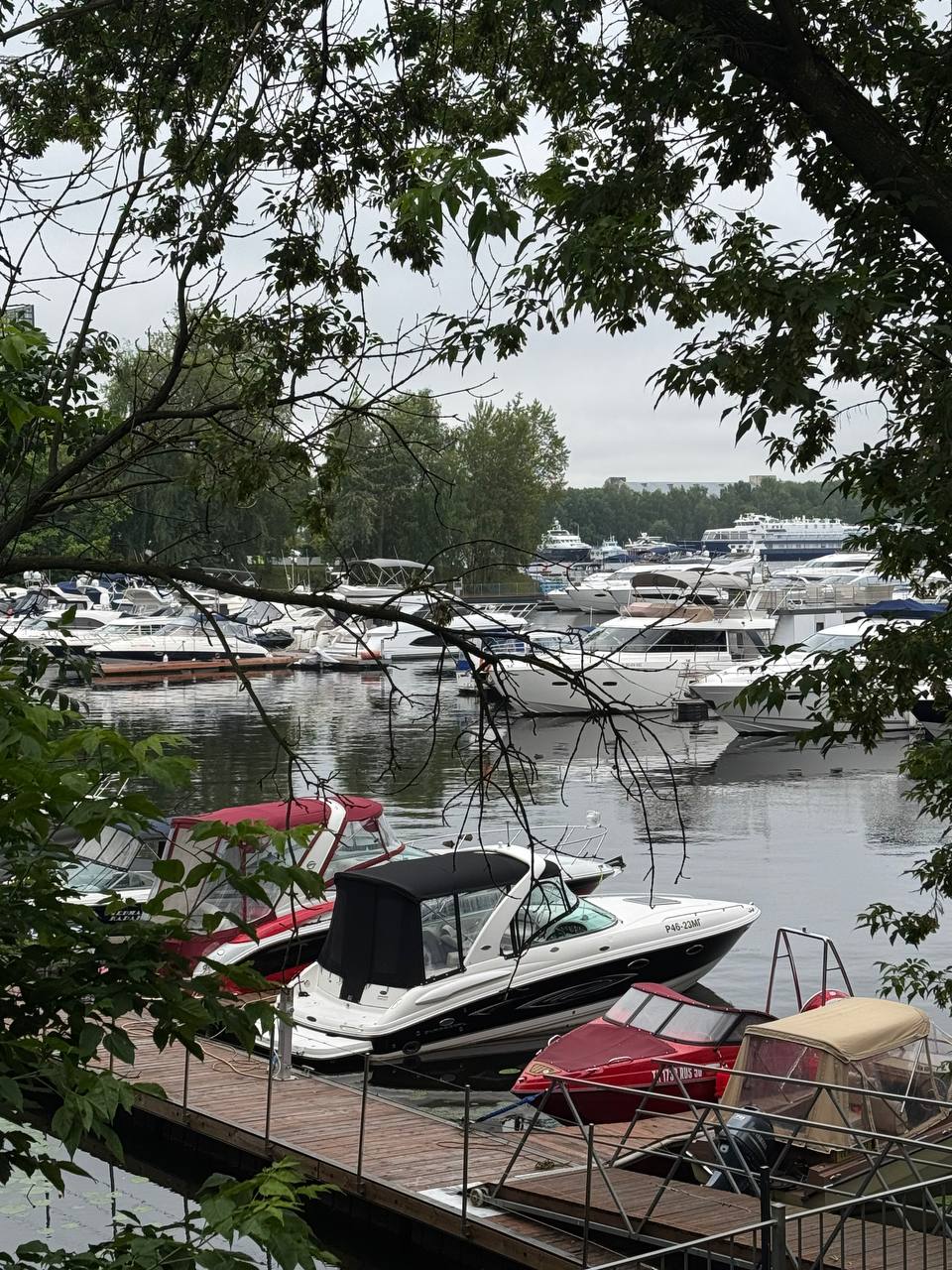 Уважаемые подписчики , всех приветствую 👋 на днях посетил выставку на воде в Москве в RoYAL Yacht Club | Сетка — социальная сеть от hh.ru
