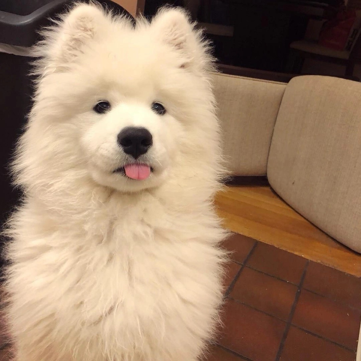 Михаил Карабаш | Сетка — социальная сеть от hh.ru