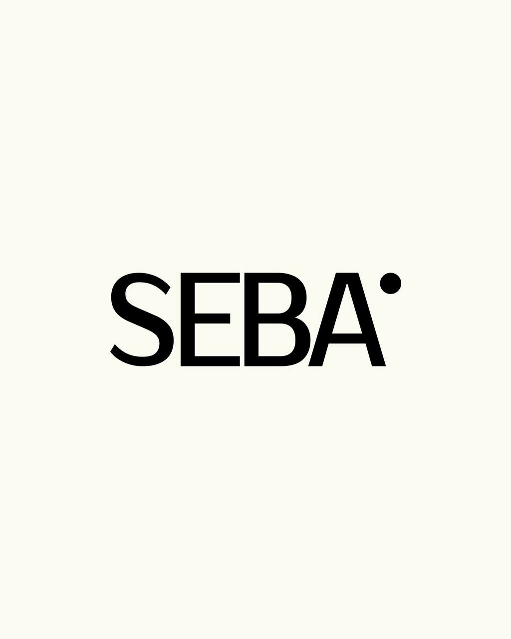 Новый проект: продающий сайт для мебельного магазина «SEBA»
Для «SEBA» мы разработали современный и удобный сайт, который помогает не просто показывать мебель, а продавать её | Сетка — социальная сеть от hh.ru