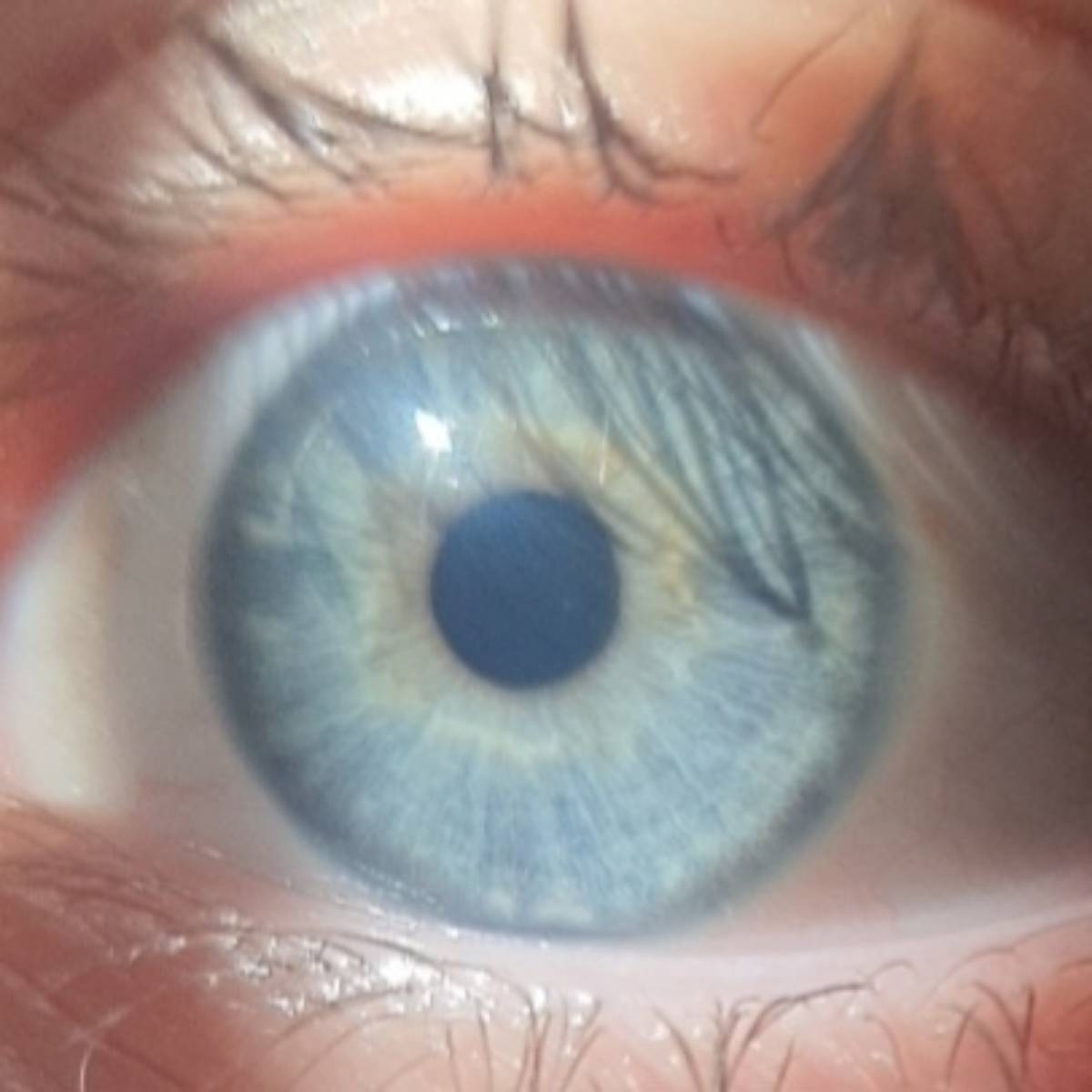 Майка Алкоголичка