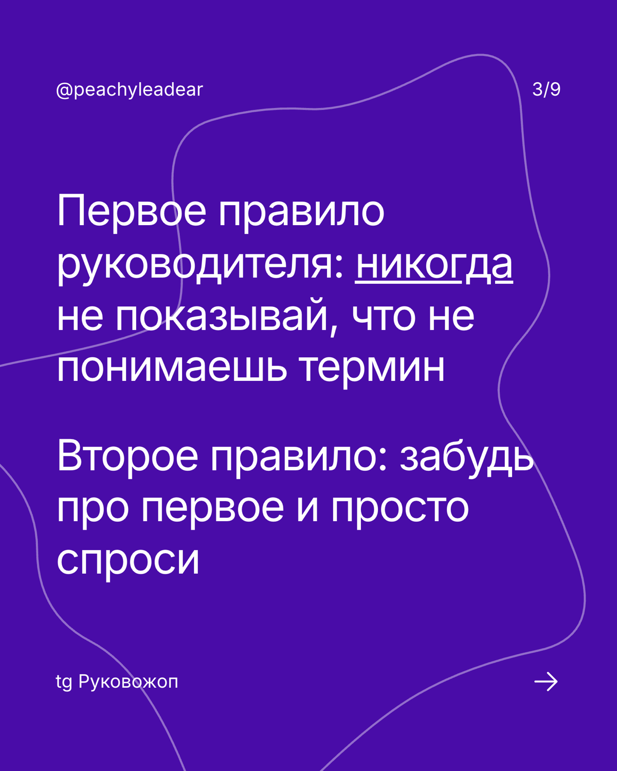 Чё они вообще несут? | Сетка — социальная сеть от hh.ru