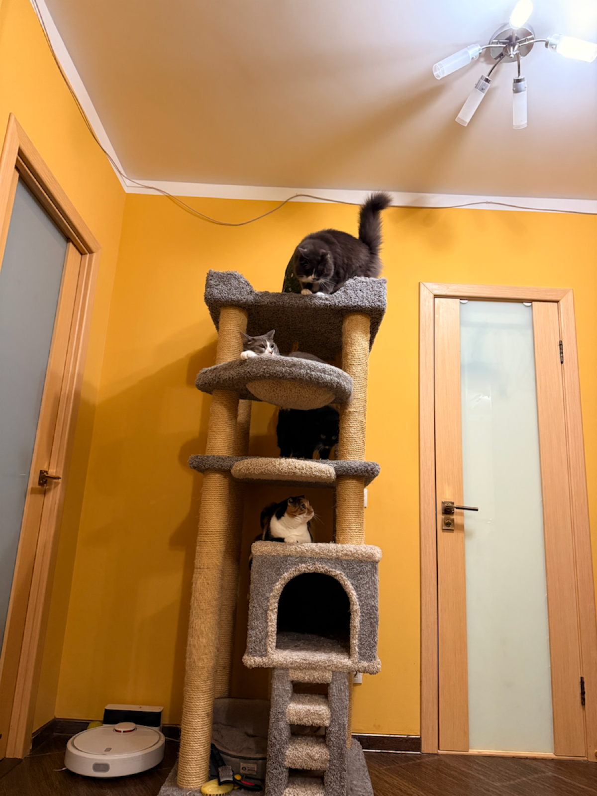 🧭 Начинаю поиск новой работы | Сетка — социальная сеть от hh.ru