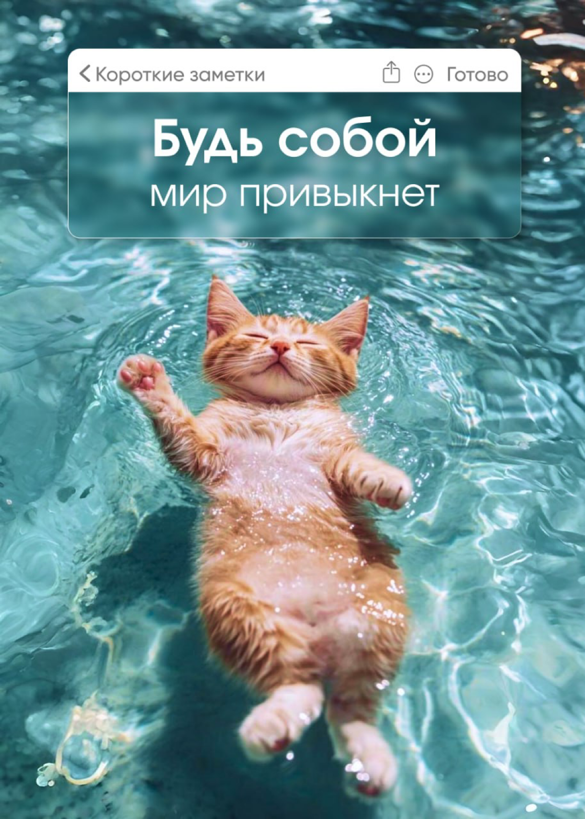 Супер магнитик | Сетка — социальная сеть от hh.ru