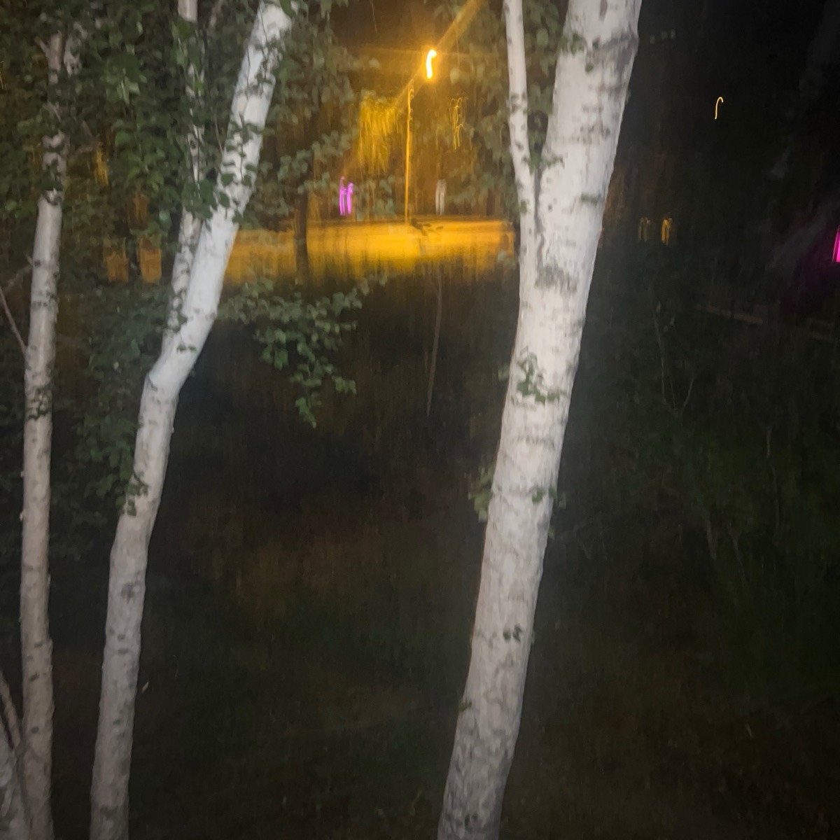 Хусанов Бекзод