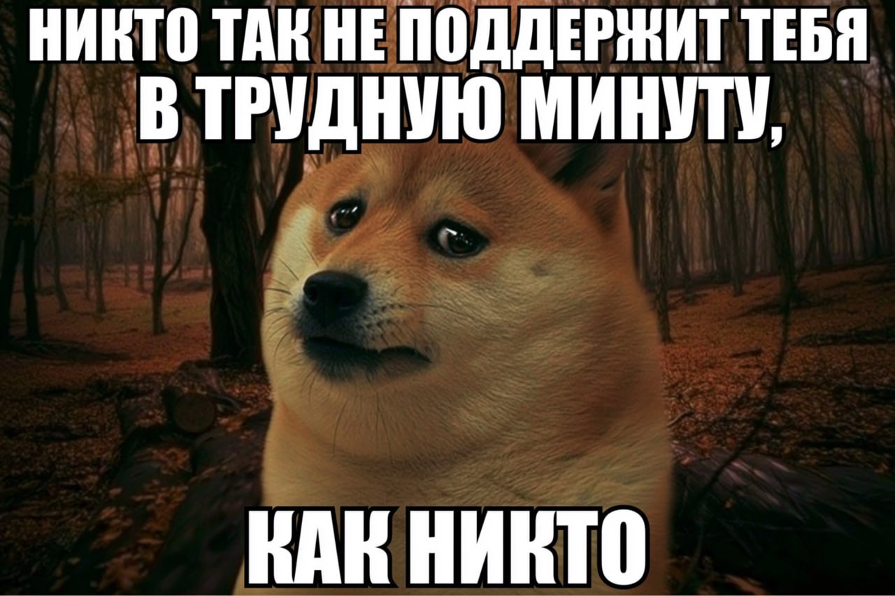 Одиночество убивает — буквально.
Учёные проанализировали кровь 42 тысяч человек и нашли страшное:
• При изоляции в крови растут десятки «токсичных» белков — 175 при полной, 26 при субъективной | Сетка — социальная сеть от hh.ru