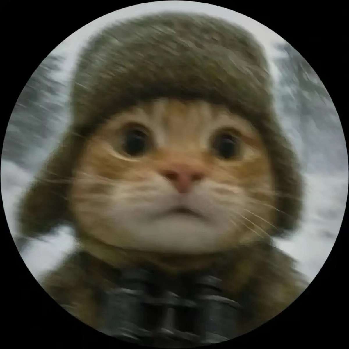 Егор Подсвиров | Сетка — социальная сеть от hh.ru