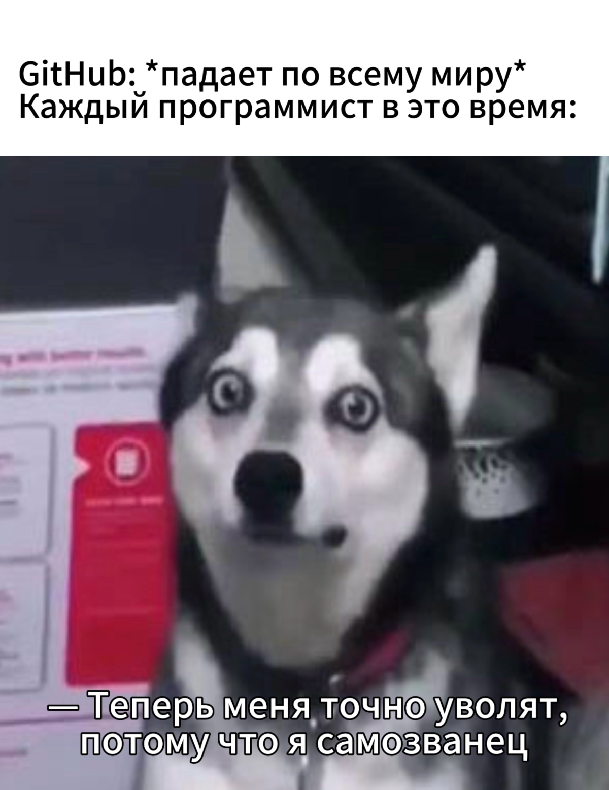 Ну, мы? 😂 | Сетка — социальная сеть от hh.ru