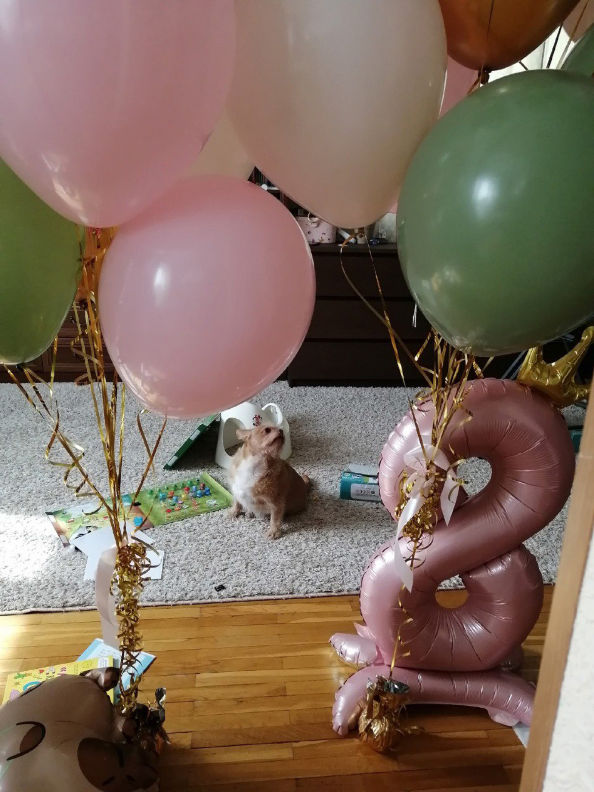 Недавно праздновали день Рождения нашего Семëна | Сетка — социальная сеть от hh.ru