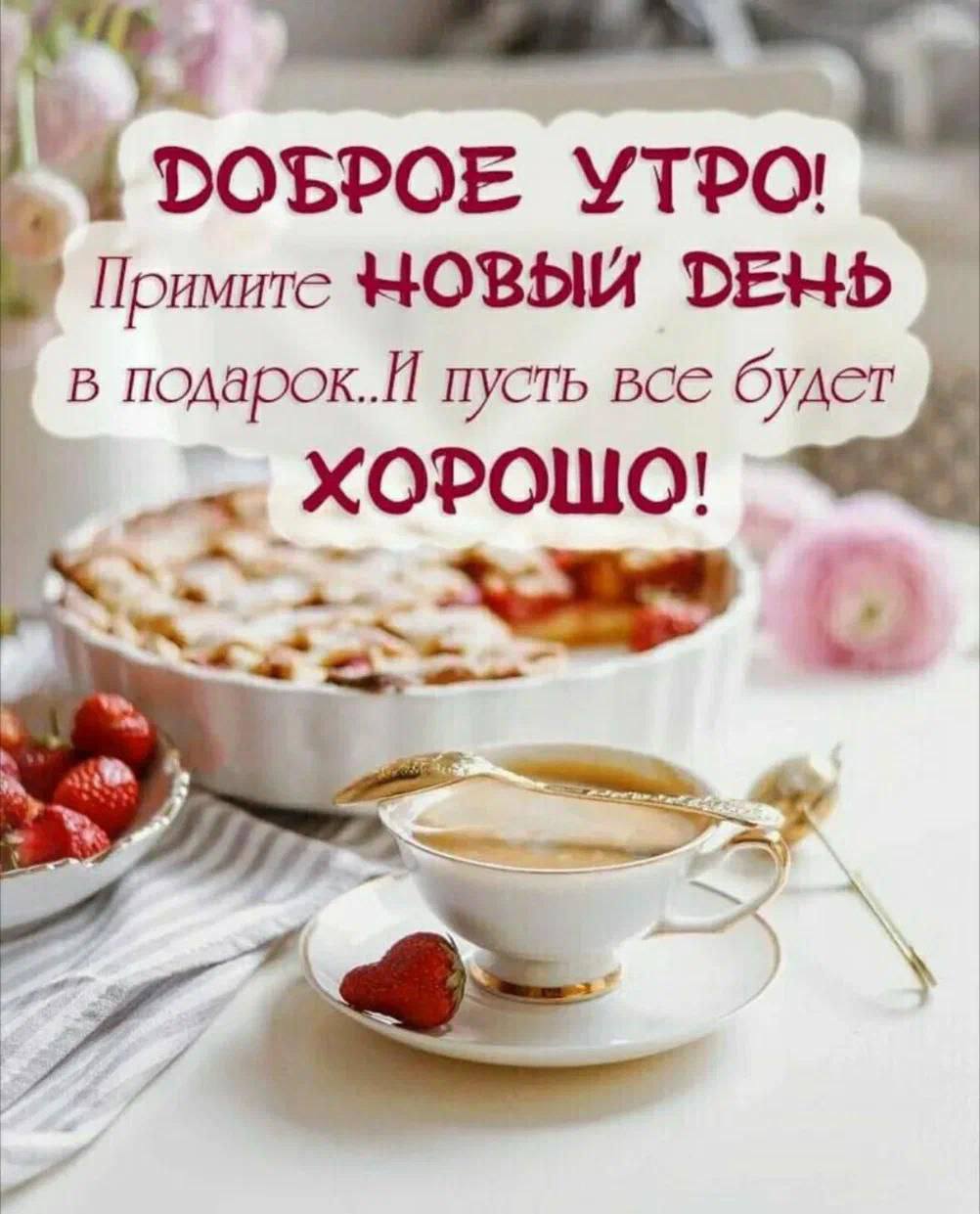 Доброе утро, ставропольцы! | Сетка — социальная сеть от hh.ru