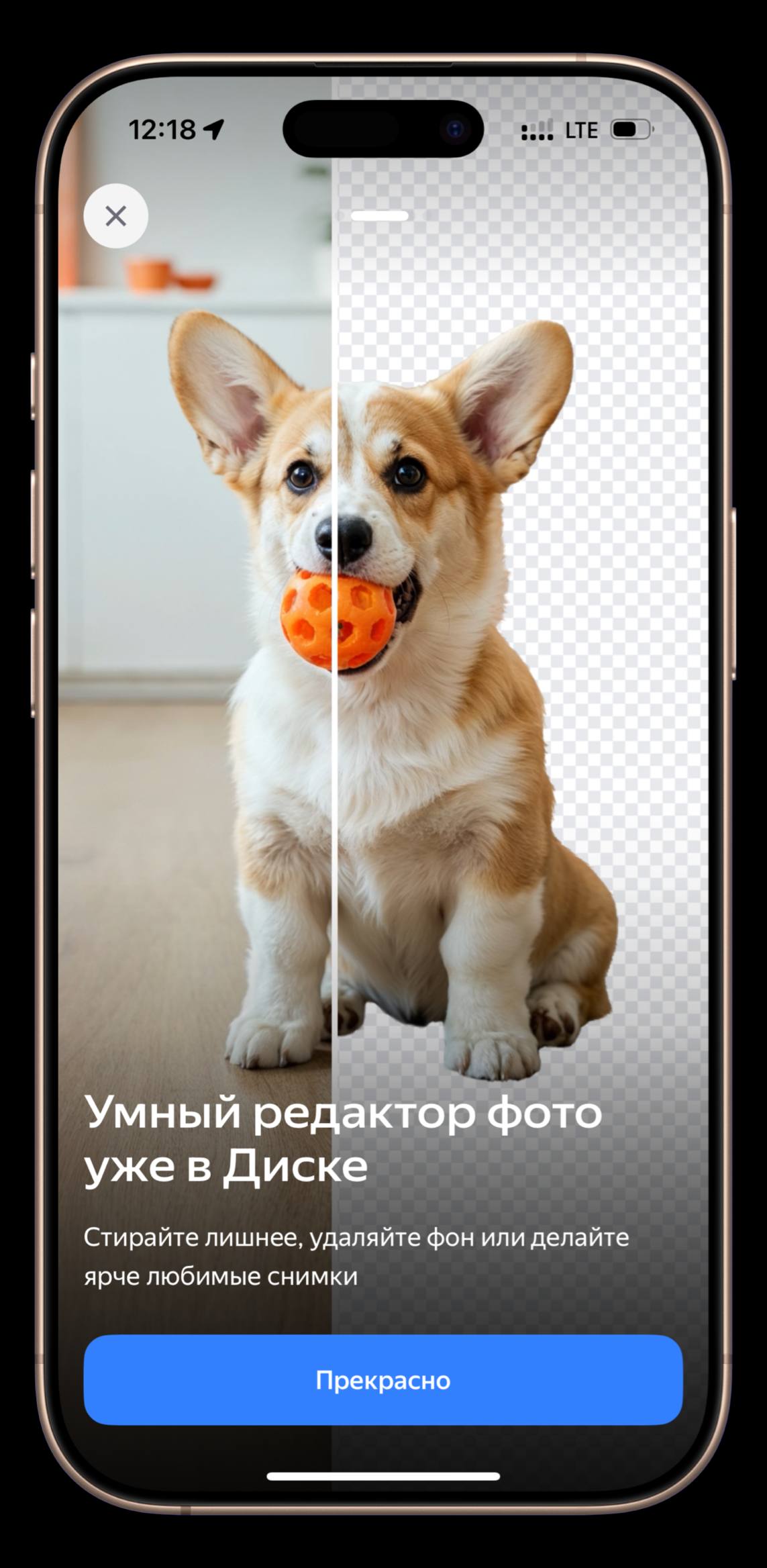 В 🗂добавили редактор изображений, простенький, но какой есть. | Сетка — социальная сеть от hh.ru