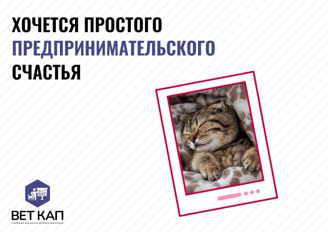 Простое человеческое счастье в одном месте
Ставьте реакцию к посту, чтобы точно сбылось ✨ | Сетка — социальная сеть от hh.ru