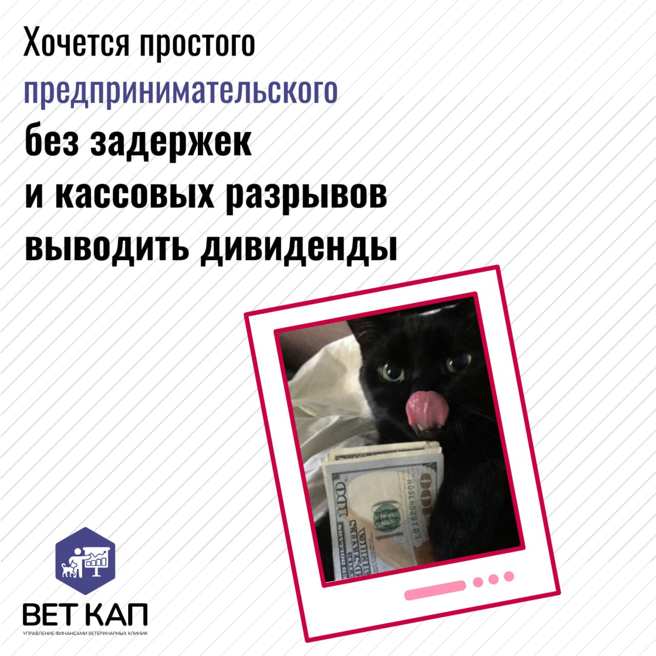 Простое человеческое счастье в одном месте
Ставьте реакцию к посту, чтобы точно сбылось ✨ | Сетка — социальная сеть от hh.ru
