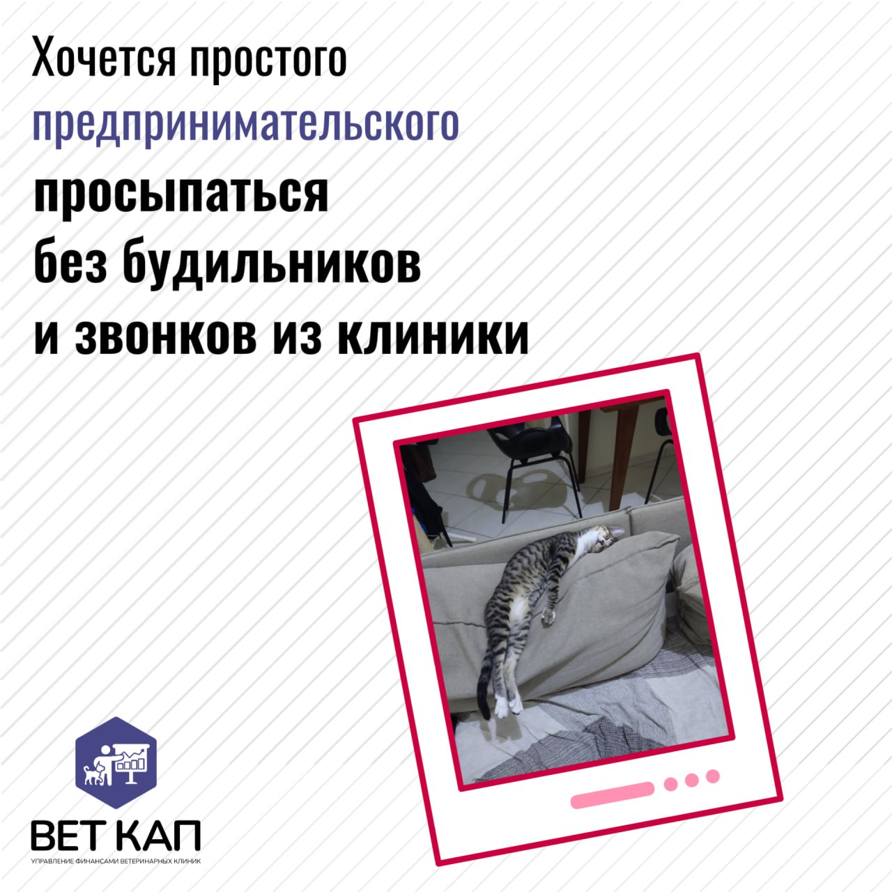 Простое человеческое счастье в одном месте
Ставьте реакцию к посту, чтобы точно сбылось ✨ | Сетка — социальная сеть от hh.ru