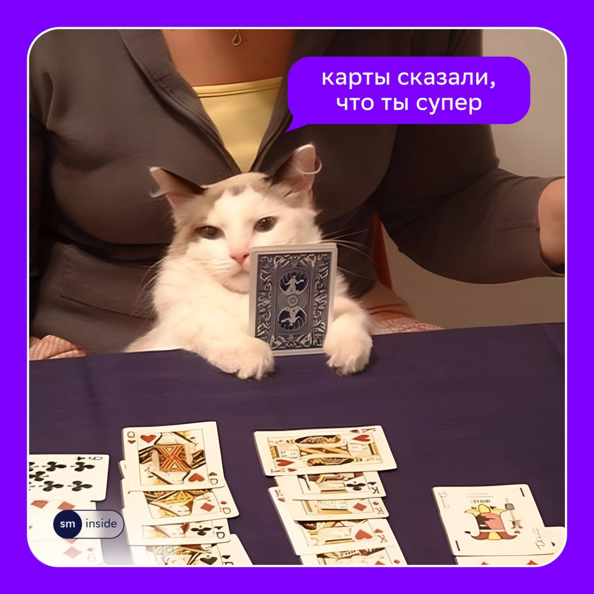 Расклад от пушистого эксперта специально для тебя🐱
Ты отлично потрудился на этой неделе, поэтому карьерные карты рекомендуют провести выходные вдали от дедлайнов, предпочтительно у бассейна | Сетка — социальная сеть от hh.ru