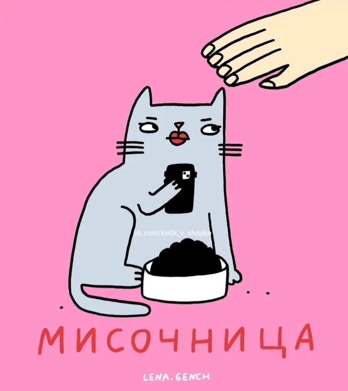 Сетка — социальная сеть от hh.ru