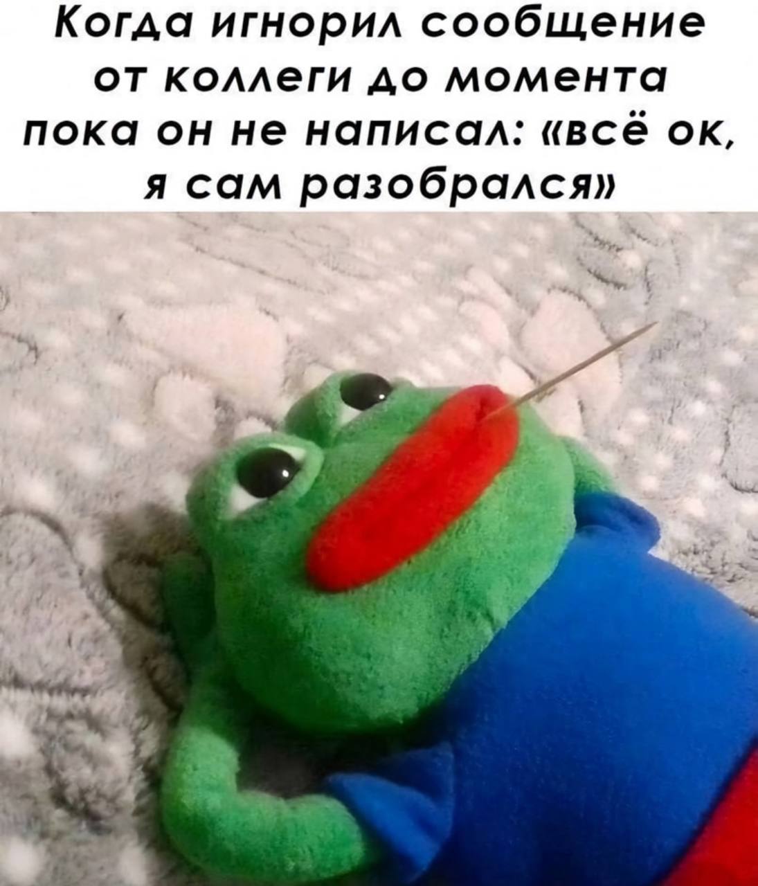 База | Сетка — социальная сеть от hh.ru